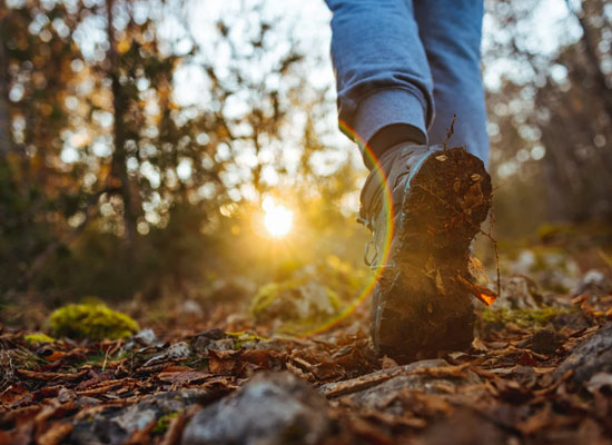 Nature Walks and Greenery